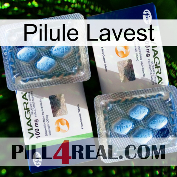 Lavest Pill viagra5.jpg